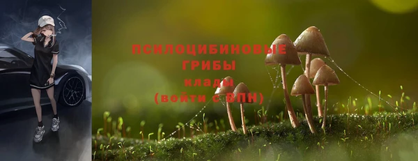 мет Арсеньев