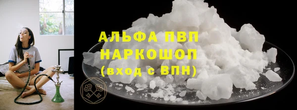 сатива Сатка