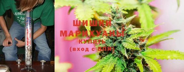 мет Арсеньев