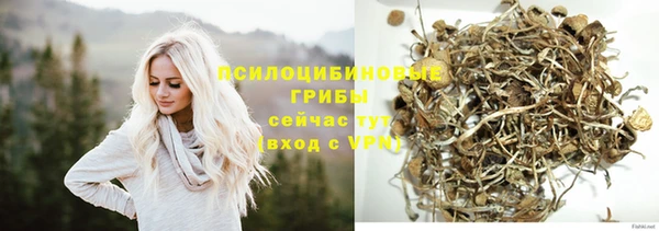 тгк Алексеевка