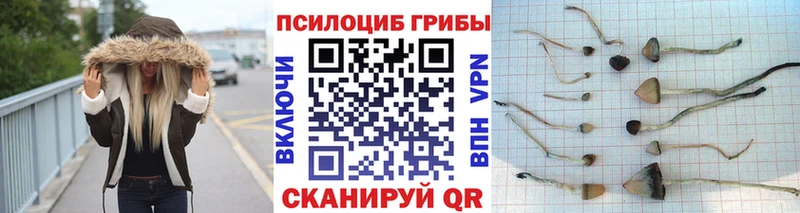 Галлюциногенные грибы MAGIC MUSHROOMS  Бодайбо 